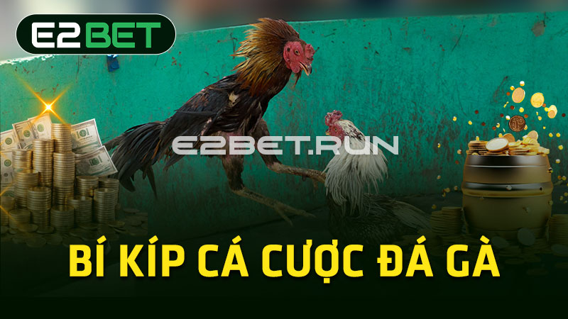 Bí kíp cá cược đá gà 