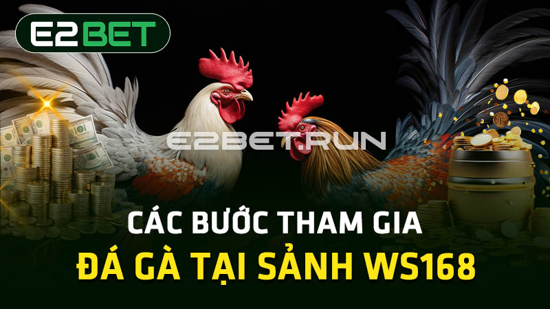 Các bước tham gia đá gà tại sảnh WS168