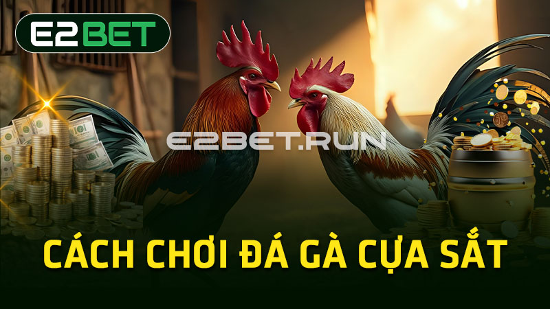 Cách chơi đá gà cựa sắt 