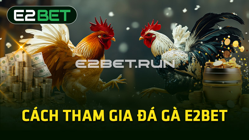 Cách tham gia đá gà E2BET 