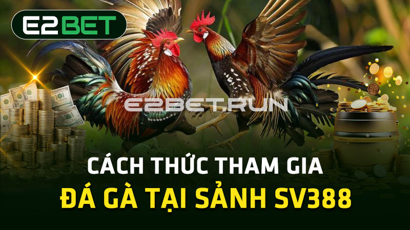 Cách thức tham gia đá gà tại sảnh SV388