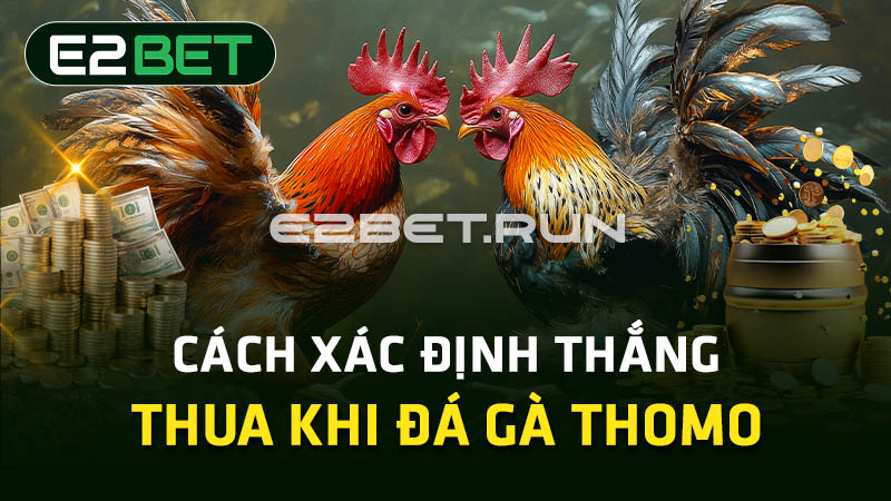 Cách xác định thắng - thua khi đá gà Thomo