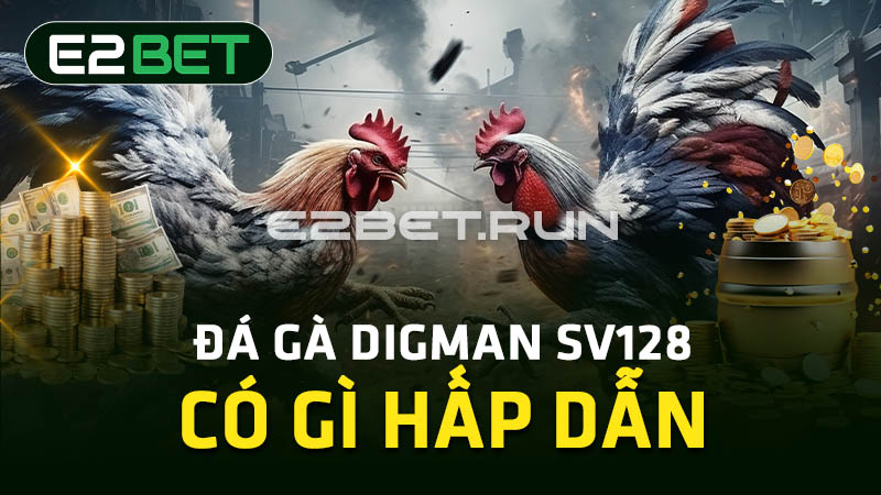 Đá gà Digman SV128 có gì hấp dẫn