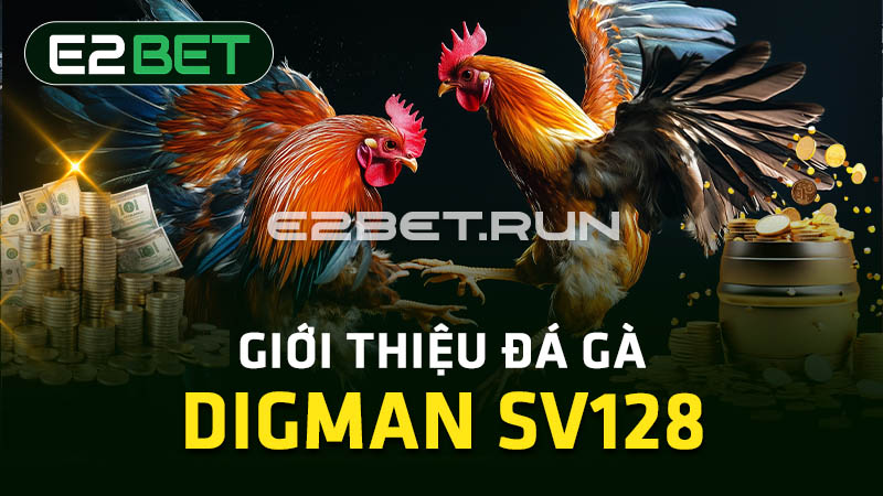 Giới thiệu đá gà Digman SV128