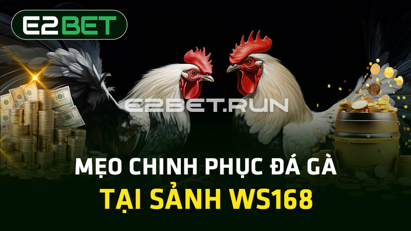 Mẹo chinh phục đá gà tại sảnh WS168