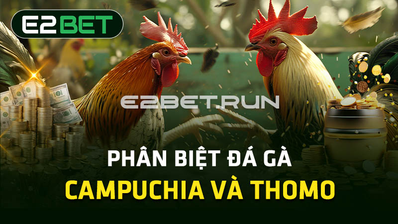 Phân biệt đá gà campuchia và Thomo