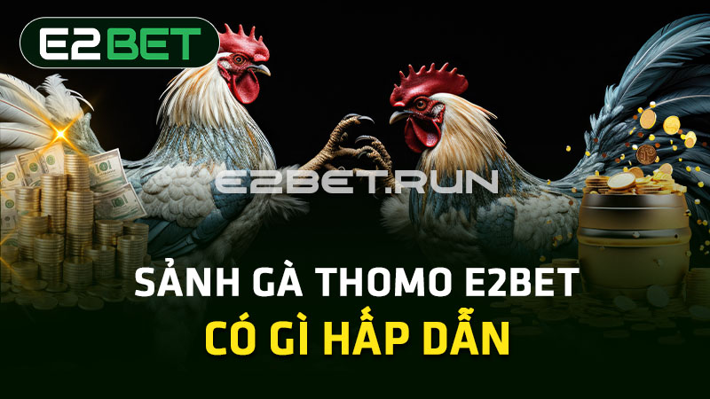 Sảnh gà Thomo E2BET có gì hấp dẫn