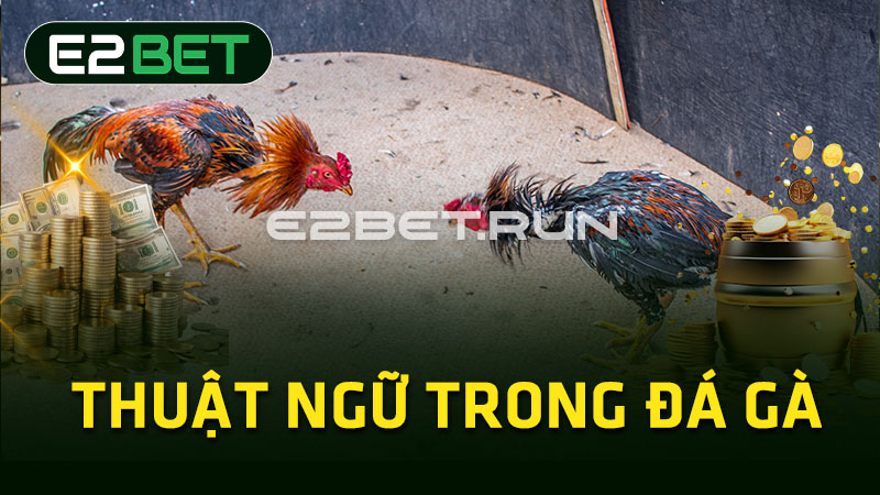 Thuật ngữ trong đá gà 